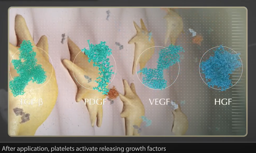 Platelets releasing growth factors